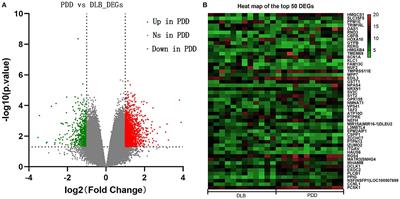 Identification of key genes and signaling pathways associated with dementia with Lewy bodies and Parkinson's disease dementia using bioinformatics